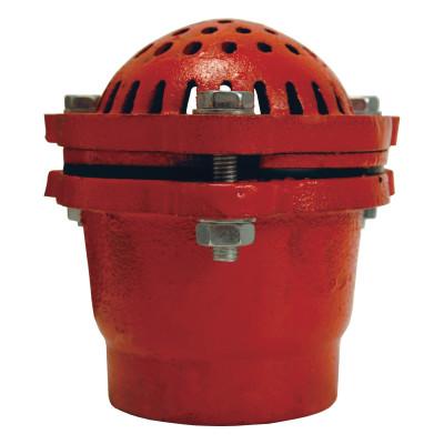 Dixon Valve Painted Foot Valves, 3 in Outlet, Female/Female, Cast Iron, DFVS35