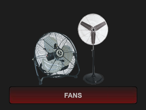 Fans