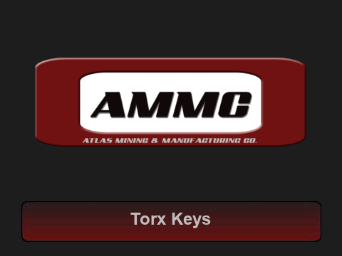 Torx Keys