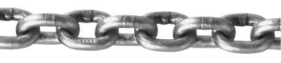 Apex Tool Group Stainless Steel Chains, Size 3/16 in, 1,200 lb Limit, Bright, 0192711