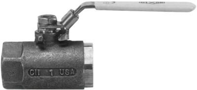 Dixon Valve Ball Valves, 1/2 in (NPT) Inlet, Female/Female, Stainless Steel, SSBV50