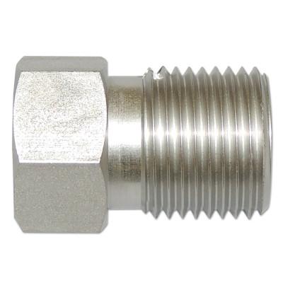Western Enterprises Female NPT Outlet Adaptors for Manifold Pipelines, 5500 PSIG, Stainless Steel, SS-347-1