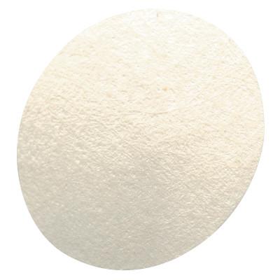 MSA Hydrophobic Filter for FiveStar Alarm & Passport Personal Alarm Gas Monitor, WH, 710917