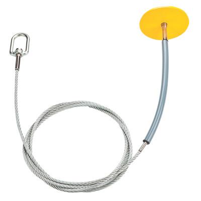 Honeywell Drop-Through Swivel Anchors, 4 in, D-Ring, RACDTA-5K/6FT