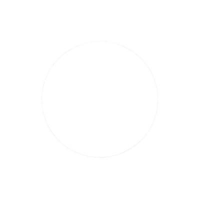 Saint-Gobain Blaze Quick Trim Type 27 Plastic Plates, 4 1/2 in x 5/8 11, 60 Grit, 66254400258